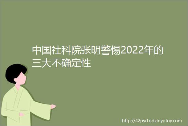 中国社科院张明警惕2022年的三大不确定性